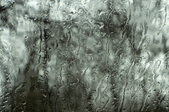 Windshield