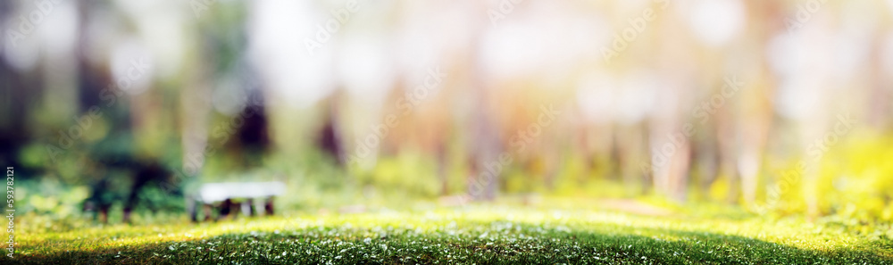 Poster forest bokeh panorama