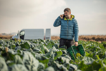 A man ecofarmer working