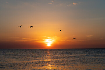 silhouettes of birds flying over the sea during sunset
