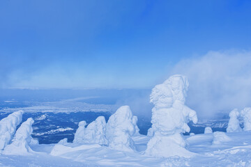 八甲田の樹氷 / Snow Monster