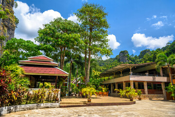 Houses and different palms in the village on Railay beach west, Ao Nang, Krabi, Thailand