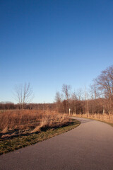 Path under a clear vibrant blue sky