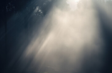 Fototapeta premium misty background with sunbeam Generative AI 