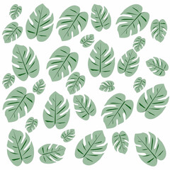monstera leaves pattern