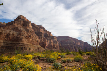 Bottom of the Grand Canyon