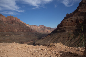 Fototapeta na wymiar Bottom of the Grand Canyon