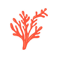 Elements of botany underwater marine plants, flora. Algae and corals. Design of a summer banner, poster. Isolated vector flat illustration.