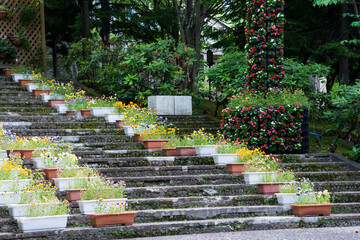 階段に並べられた花