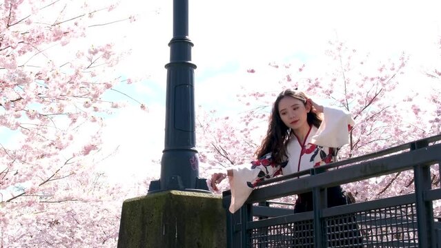 Canada Vancouver all people are photographed in parks against the backdrop of cherry blossoms a girl in a beautiful embroidered oriental blouse is leaning on bridge