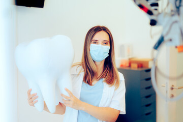 Dentist Holding a Big Tooth Model Standing in Her Office. Oral surgeon explaining about the risk of...