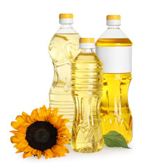 Bottles with sunflower cooking oil and yellow flower on white background
