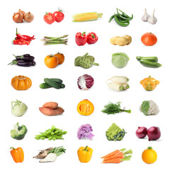 Collage with many fresh vegetables on white background