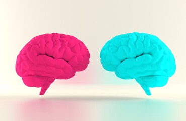 Blue brain and pink brain with heart symbol. 3D Rendering. Male and female brain. The concept of love in anatomy. female and male brain. 