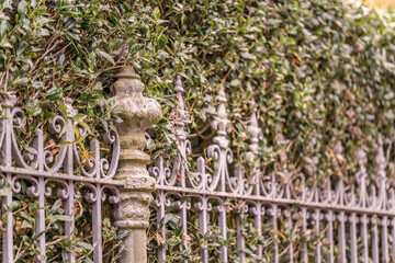 Close up of a beautiful iron fence in the Garden District neighborhood of New Orleans. Shallow focus on the neck of the largest post for artistic effect.
