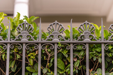 Close up of a beautiful iron fence in the Garden District neighborhood of New Orleans. Close up...