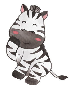 Zebra . Watercolor paint design . Cute animal cartoon character . Sitting and laughing . Vector .