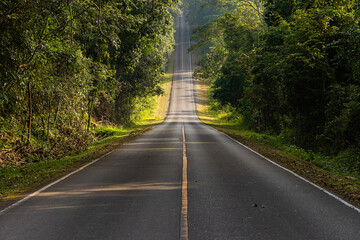 Road in the middle of the forest and ascending to the top of the hill. in Khao Yai National Park, Thailand.