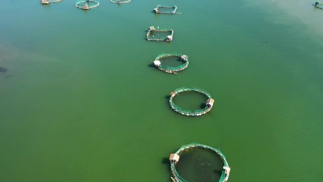 Aerial view of Fish farm with cages for fish and shrimp. Fish ponds for bangus, milkfish. Farming aquaculture or pisciculture practices. Philippines, Luzon.