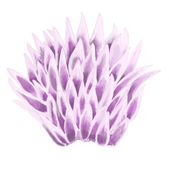 Chives onion flower purple lotus flower