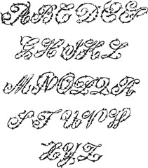 Embroidery�Alphabet Design