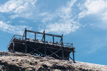 Obraz premium Old wooden platform in the Ballestas islands at Paracas, ica Peru