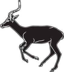 Impala Sketch Vector