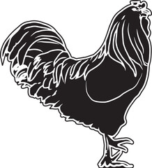 Easter Egger Rooster Sketch Vector