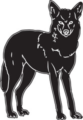 Cayote Sketch Vector