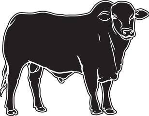 Beefmaster Sketch Vector