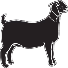 Deurstickers Boer Goat Sketch Vector © Loveleen