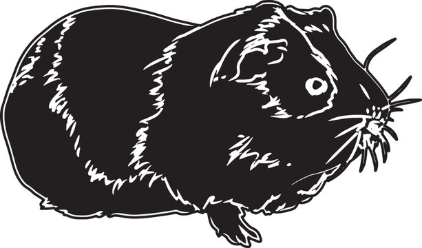 Guinea Pig Sketch Vector