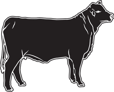 Brangus Sketch Vector