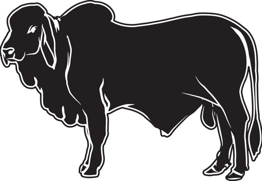 Brahman Sketch Vector