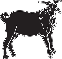 Kiko Goat Sketch Vector