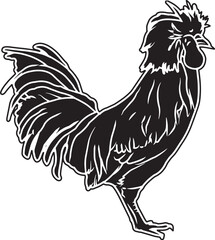 Polish Chicken Sketch Vector