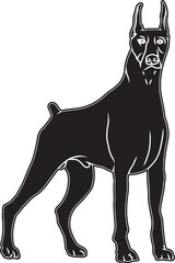 Doberman Pinscher Sketch