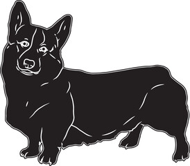 Cardigan Welsh Corgi Sketch