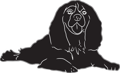 Cavalier King Charles Spaniel Sketch