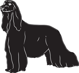 Afghan Hound Sketch