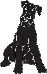 Airedale Terrier Sketch