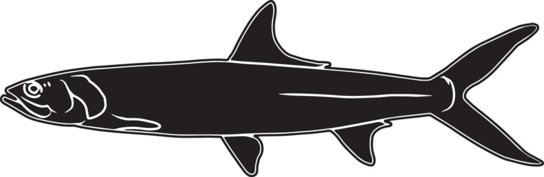 Ladyfish Hand sketched, hand drawn vector clipart