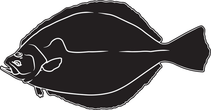 Flounder Hand sketched, hand drawn vector clipart