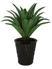 A plant that has a green leaf on it. PNG