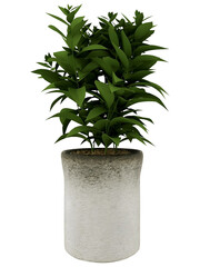 A potted plant with a green plant in it .PNG