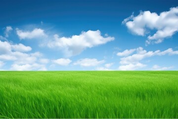 Obraz premium serene landscape with lush green grass and a clear blue sky. Generative AI