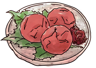 日本食、、皿に乗った梅干しのベクターイラスト