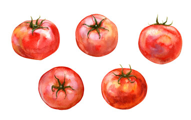 A set of tomatoes painted in watercolor
