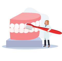 Dental medical concept. female Dentist with big toothbrush is presenting or showing how to clean teeth with big mouth model. Flat cartoon Vector illustration