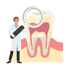 Dental medical , teeth check up concept. male Dentist with a big magnifying and teeth. searching anatomy of tooth. Flat vector cartoon illustration